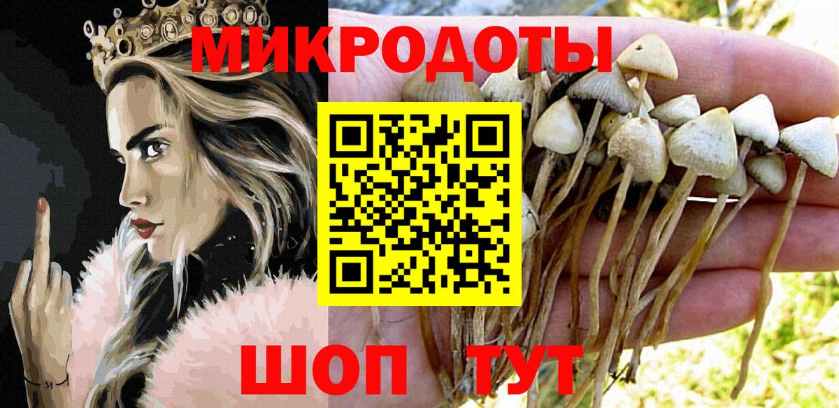 Псилоцибиновые грибы MAGIC MUSHROOMS Советская Гавань