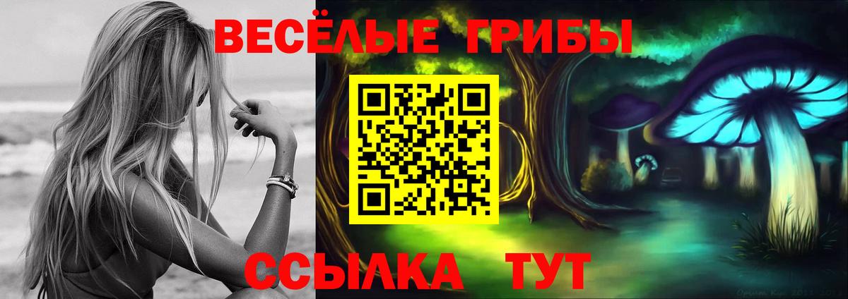 Псилоцибиновые грибы Psilocybine cubensis  хочу   Советская Гавань  Вход с VPN 